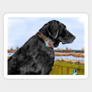 Black Labrador Retriever on the Pond Sticker